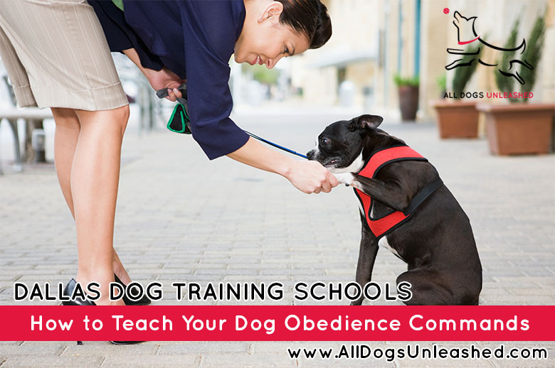 How To Teach Your Dog Obedience Commands All Dogs Unleashed Boise Idaho