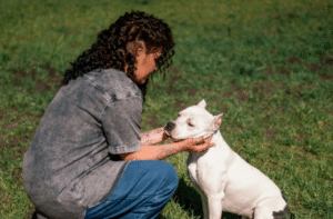 Trained Pit Bull heeling with trainer in Boise park