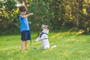 boy training small dog with leash in a grassy Boise park, demonstrating gentle and safe interaction