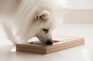 White fluffy dog solving a colorful puzzle toy indoors for mental stimulation in Boise
