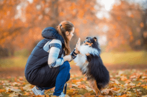 Dog and trainer walking near Boise foothills
