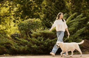 Dog walking calmly on leash at Boise park with trainer