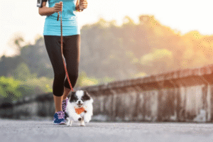 Dog jogging with owner on Boise Greenbelt trail during early morning exercise routine