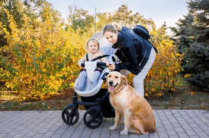A friendly-looking Golden Retriever or Labrador sitting on leash beside a baby stroller with a parent nearby, set in a recognizable Boise park