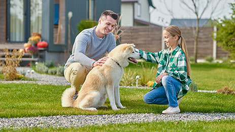 in-home-dog-training