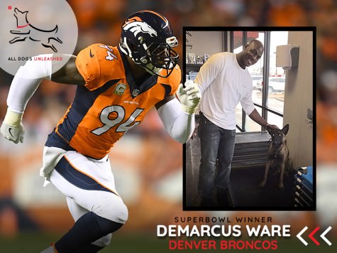 ADU-Wall-of-Fame-Photos-Sm-DeMarcus-Ware