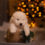 Received a Puppy for Christmas? Our Advice on Welcoming Him Home