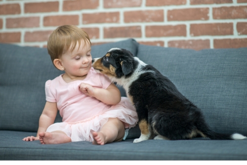 Preparing Your Puppy for New Baby