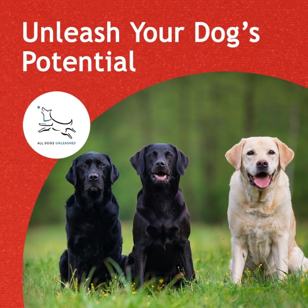 all dogs unleashed dog training for barking